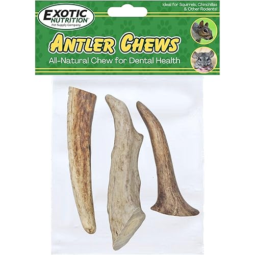 Exotic Nutrition Antler Chews - Safe Small Animal Chew - Natural Source of Healthy Minerals - Chinchilla, Hamster, Degu, Prairie Dog, Squirrel and Other Chewing Pets