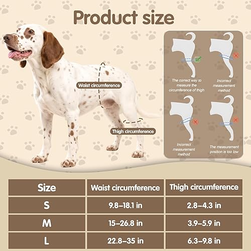 Miniatura 4 de Dog Hip Orthotics Brace, Dog Hip Dysplasia Brace, Support for Hip Dysplasia, Arthritis, Luxating Patella, Back Leg limping, Relieve Hip Pain and