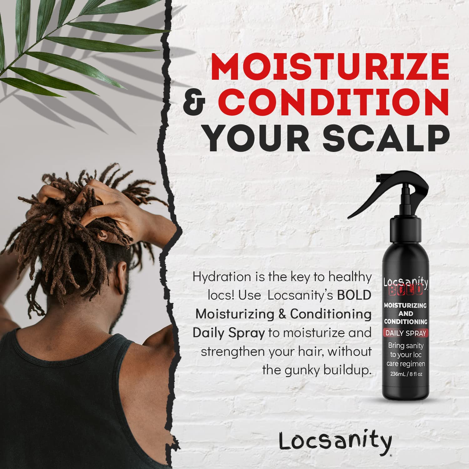 Loc Spray - Locsanity BOLD Daily Moisturizing Spray for Locs, Dreadlocks - Lightweight Scalp & Hair Refresher, Natural Conditioning Spray for Dreads, Braids, Sisterlocks (8 fl oz)