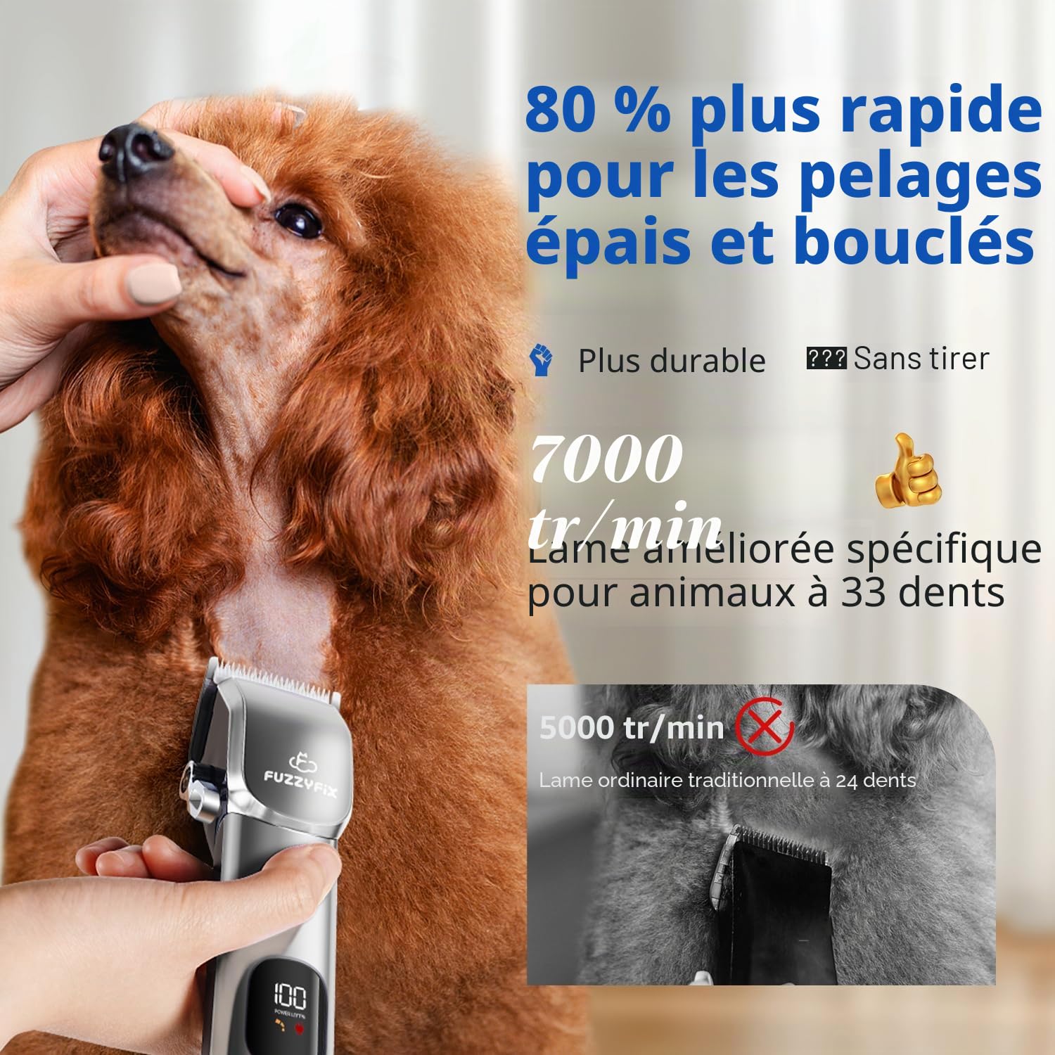 Tondeuses Chiens et Tondeuse pour Pattes de Chien 3 en 1,Sans fil, Cilencieuse et Puissante pour Poils Longs et épais,Noir