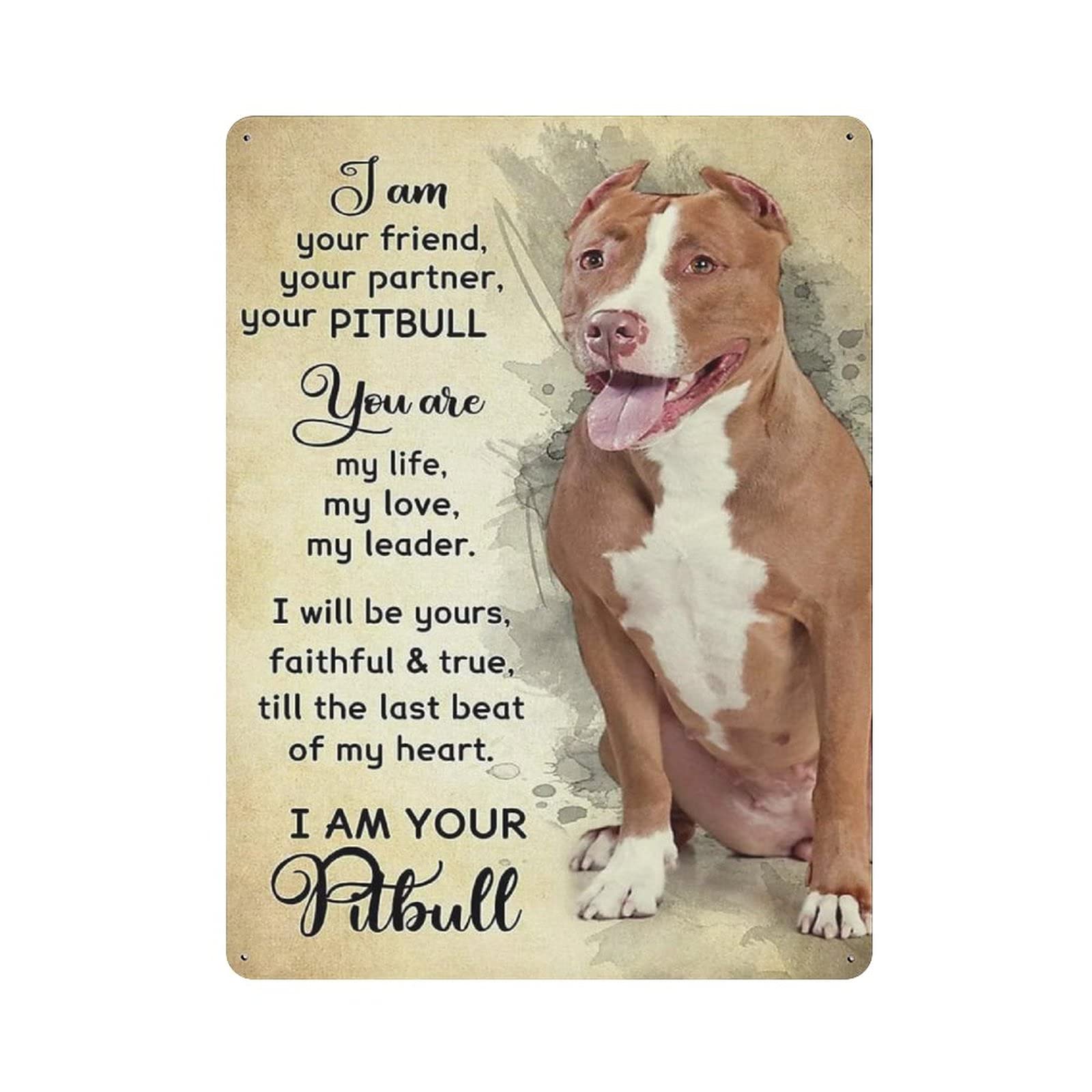 Metal Tin Sign Pitbull Dog Vintage Tin Poster Metal Sign Wall Decoration Country Kitchen Home Garage Decor 16"x12"