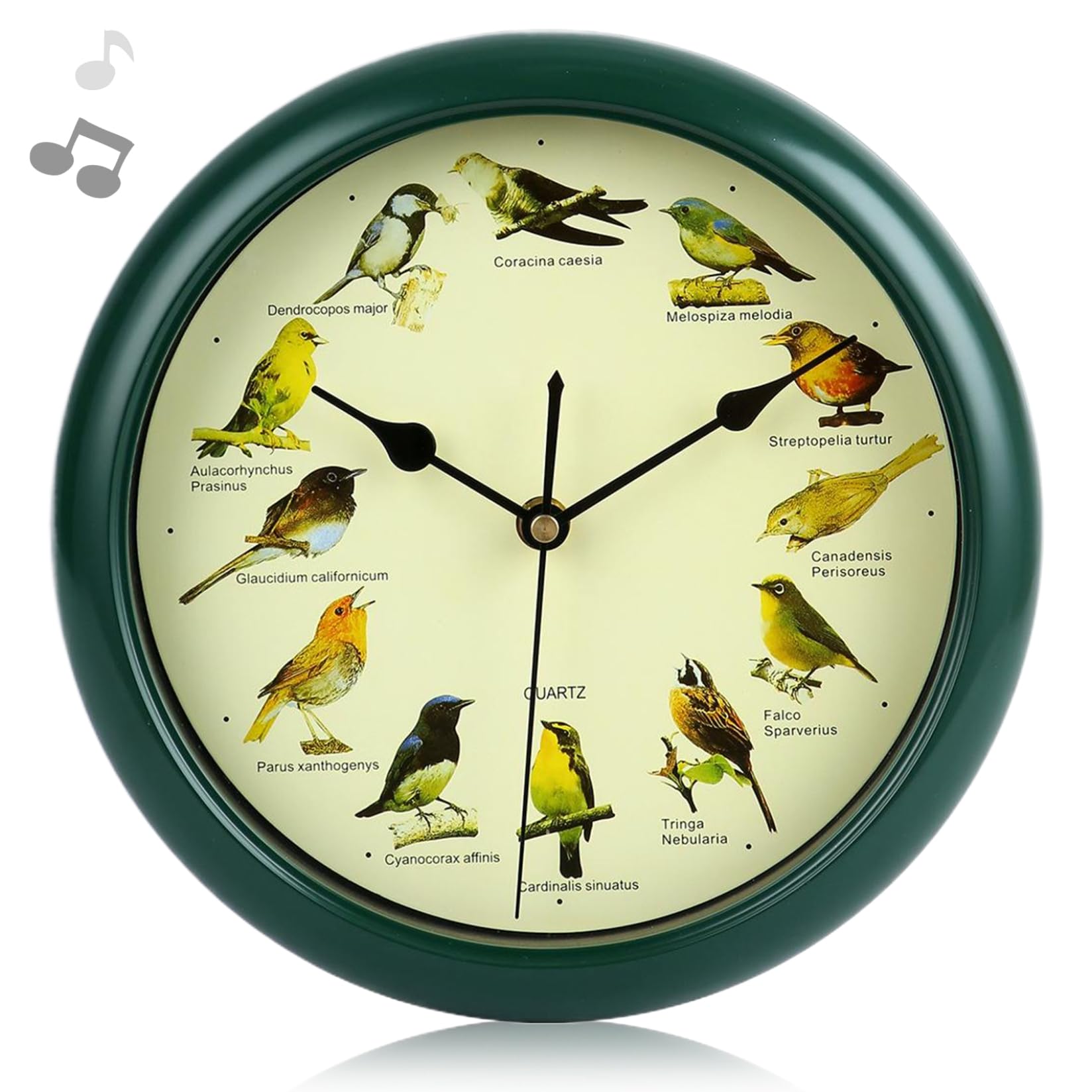 Enbebamd Bird Clock that Sings on Hour, 12 Native Bird Species Cuckoo Clocks, 10 Inch Decorative Singing Clock for Office, Classrooms, Living Room, Dining RoomClock