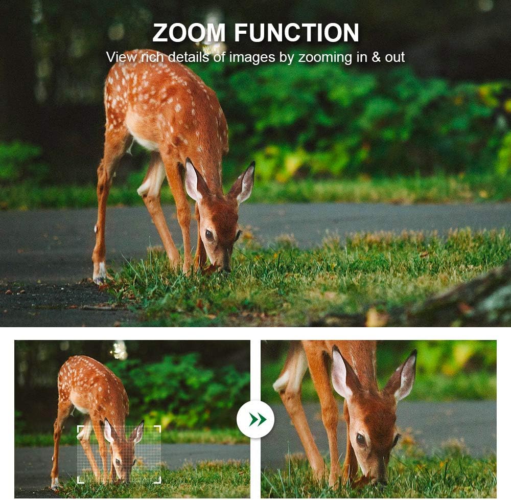 Flаѕh Dеаlѕ - 40% оƒƒ Crenova Trail Camera with 32GB SD Card 20MP 1080P IP66 Waterproof Night Vision Game Hunting Cam for Wildlife Scouting Monitoring with 47pcs 940nm No Glow LED 120° 65 ft Detection Range 2.4” LCD