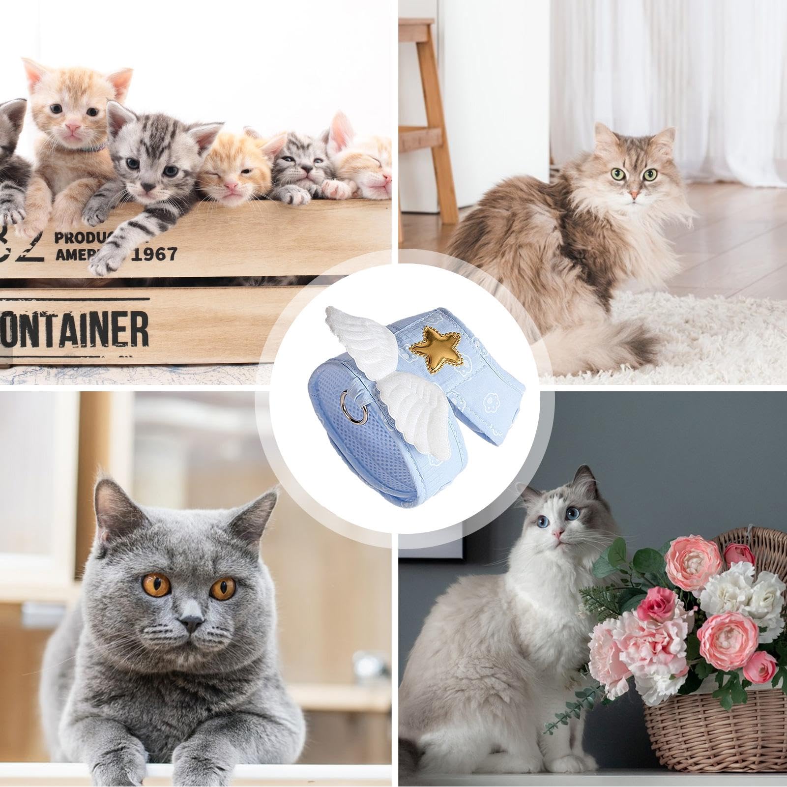 Guinzaglio per gatti – Set di pettorine e lino, gilet regolabile per gatti