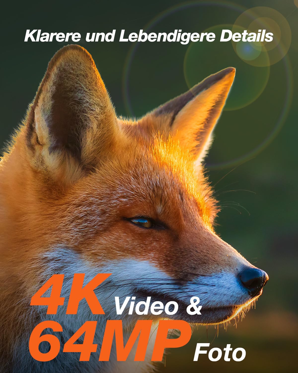 iZEEKER Solar Wildkamera 4K 64MP mit Handyübertragung App, WLAN & Bluetooth Wildtierkamera mit Bewegungsmelder Nachtsicht, Solar Tierkamera mit 5200mAh Akku, IP66, 0.3s Auslösezeit