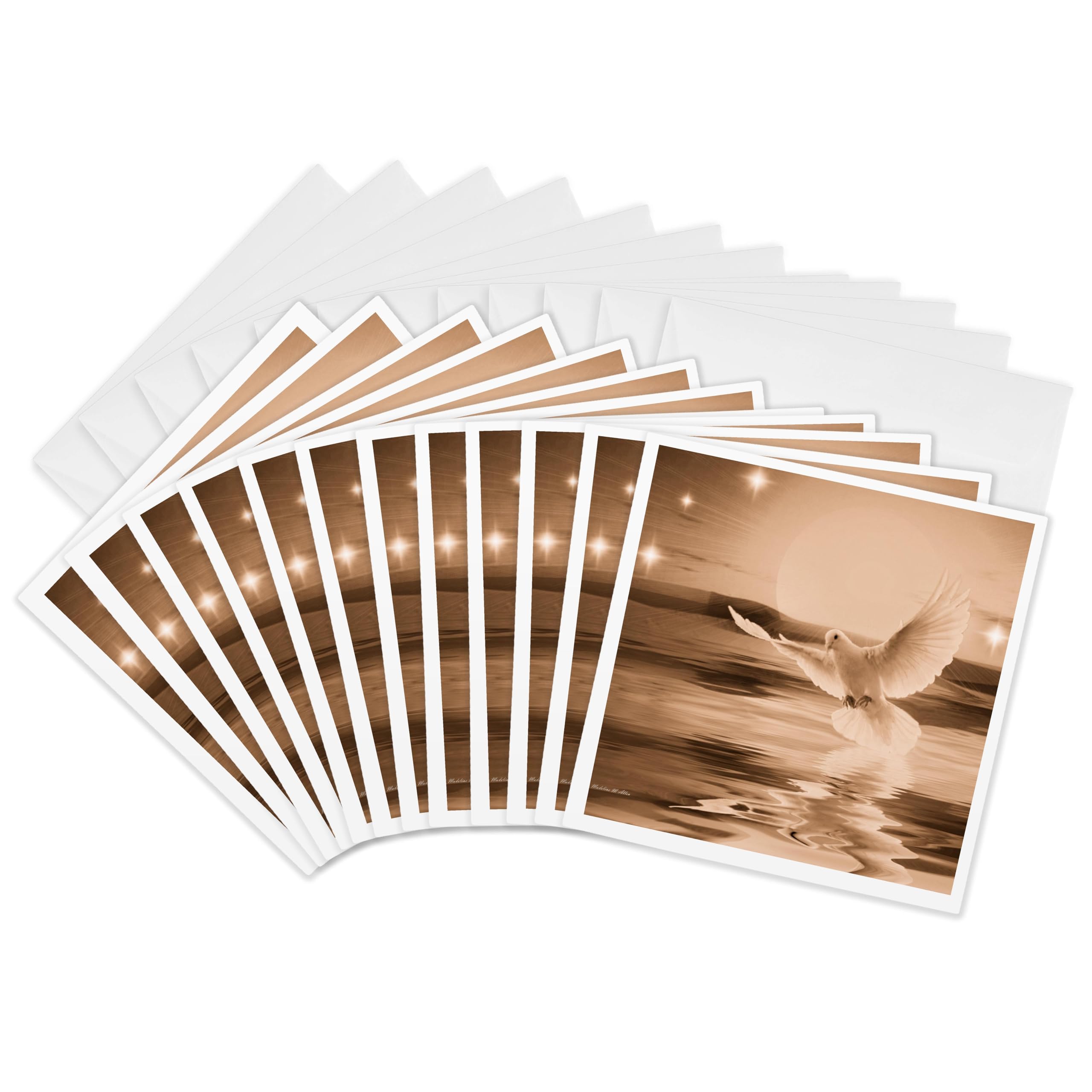 3Drose Peace Dove - Greeting Cards, 6 by 6-inches, Set of 12 (gc_23317_2)