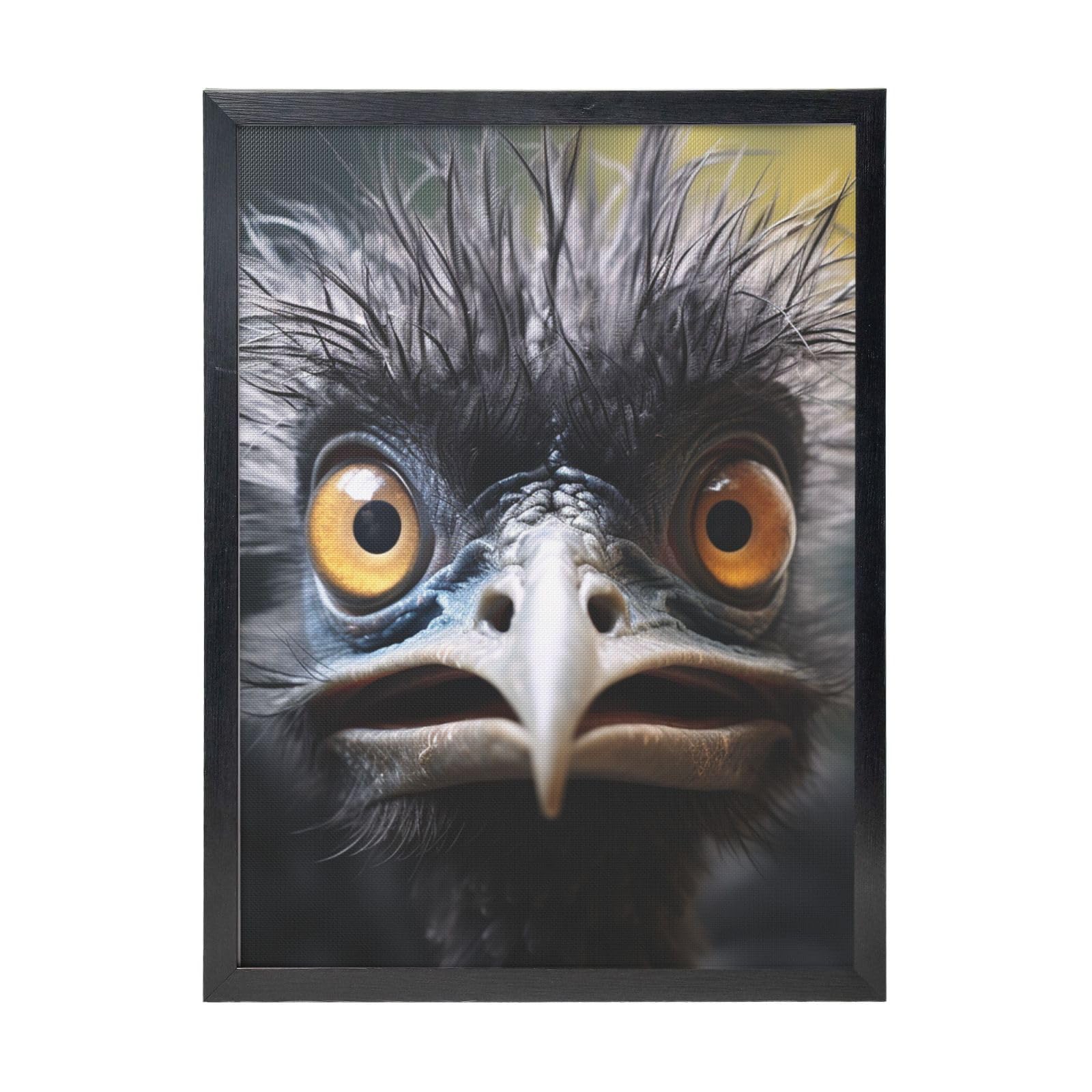 Framed Wall Art - Decorative Canvas Painting Emu Pictures Poster Aesthetic Modern Prints Artwork for Bedroom Office Wall Decor Ready To Hang 12x16 in
