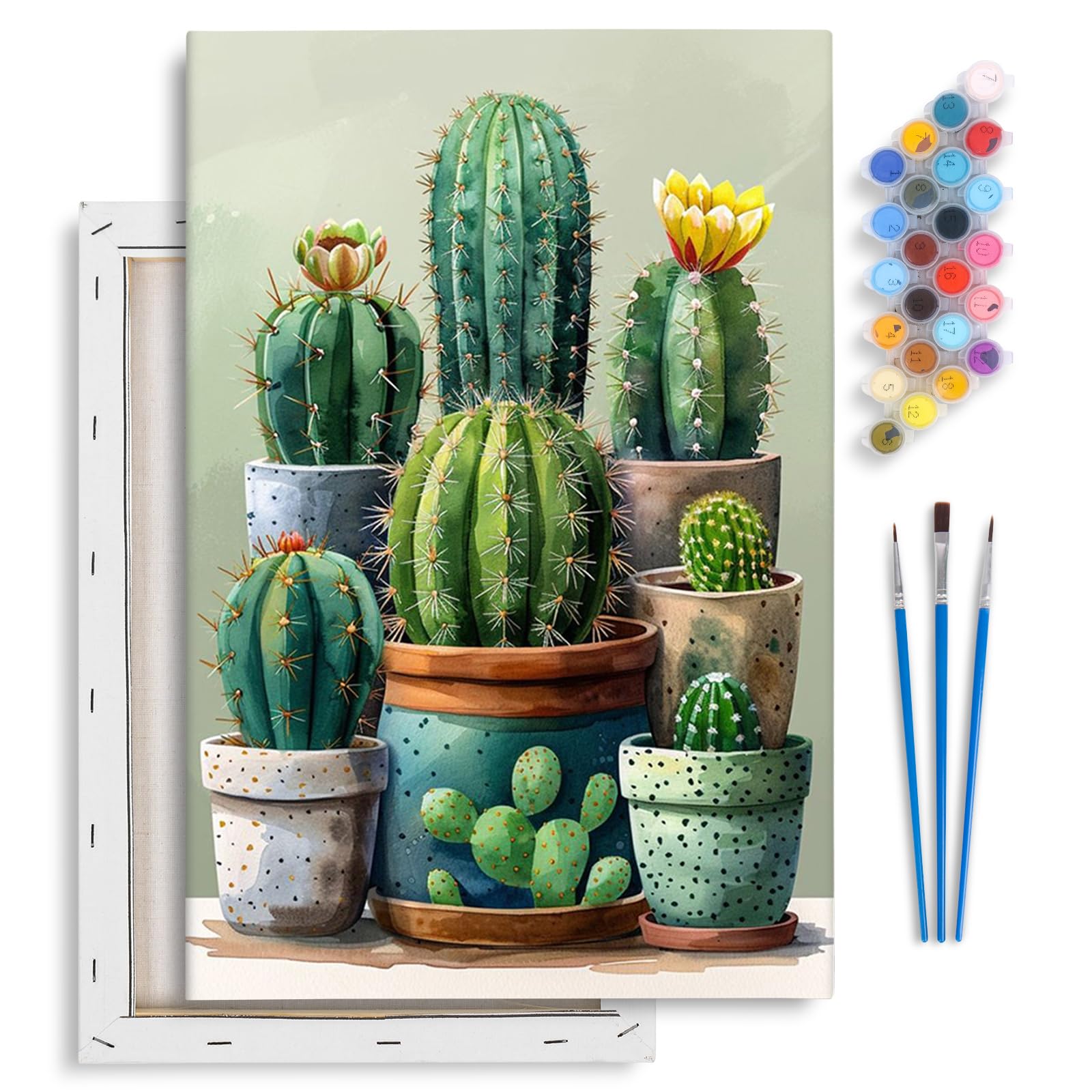 Fountor Kaktus Nach Zahlen Erwachsene mit Rahmen, Cactus Malen Nach Zahlen  mit Rahmen, DIY Acryl Pflanzen Paint by Numbers Adult fr Home Wall Decor  Geschenk 20x30cm: Amazon.de: Spielzeug