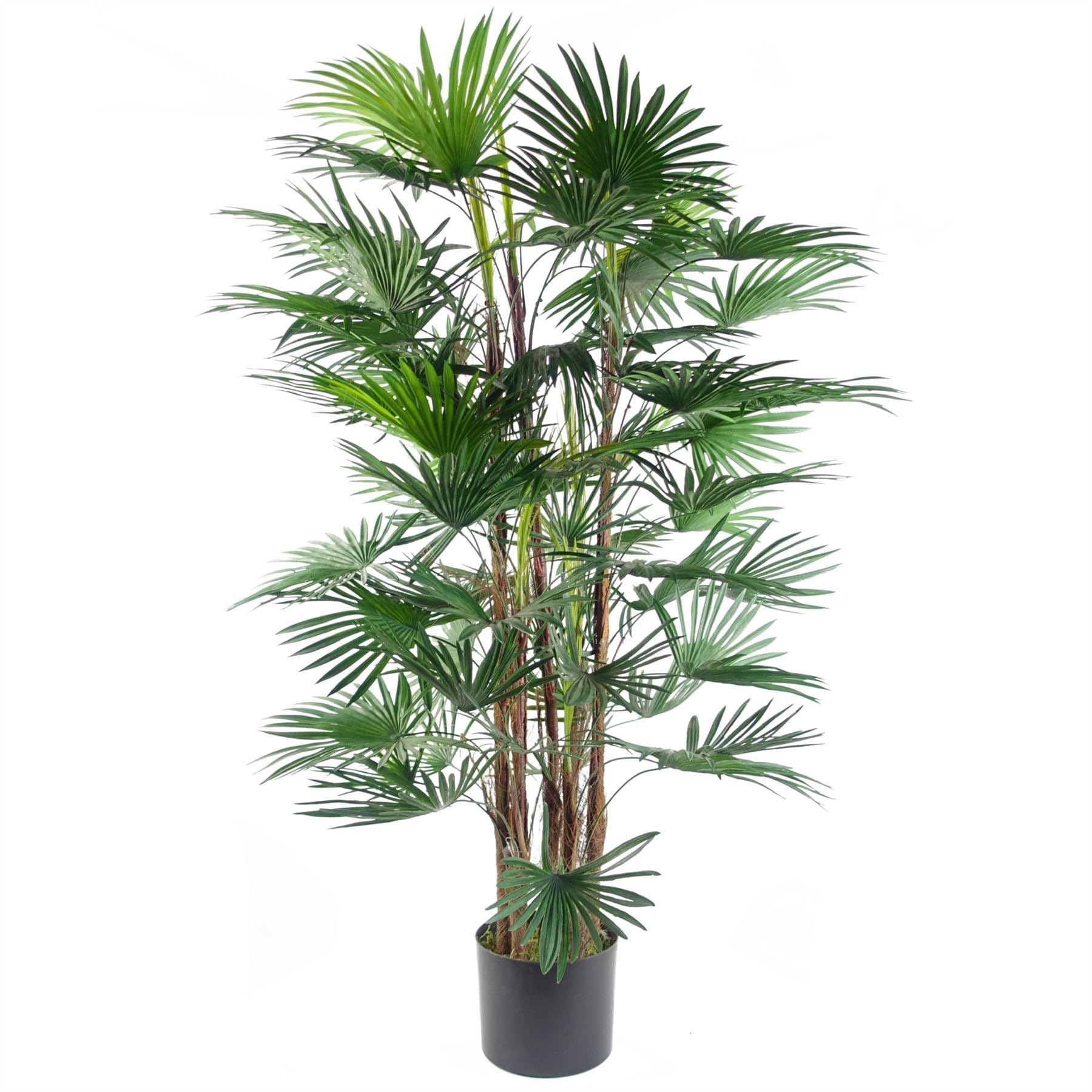 Botanik Fan Palm Artificial Tree - 120cm Green - Realistic Plastic Leaves & Trunk