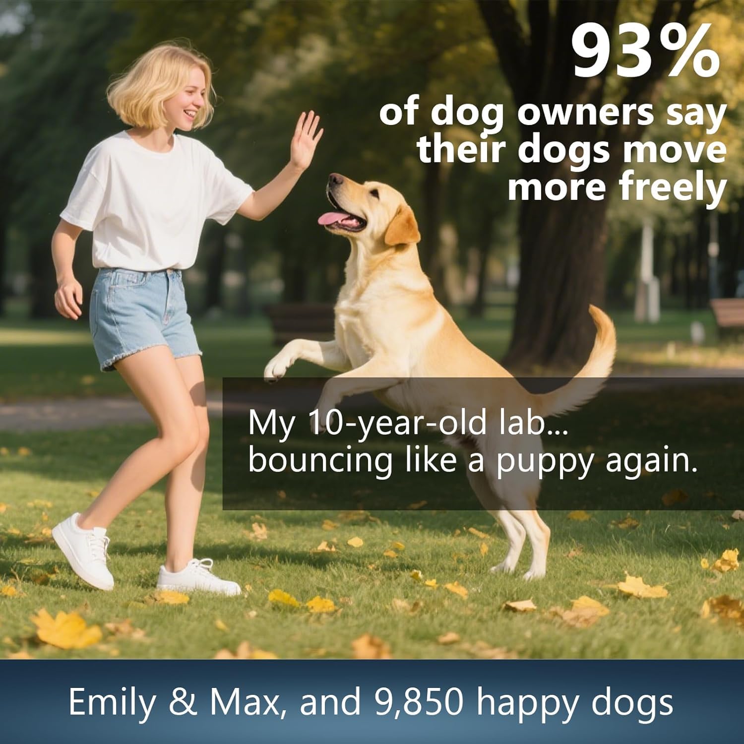 Glucosamine for Dogs - 150 Soft Chews, Hip & Joint Supplement with MSM, Chondroitin, Turmeric – Joint Support for Dogs Chicken Flavor – Vet Formulated – 2-Month Supply - image 8