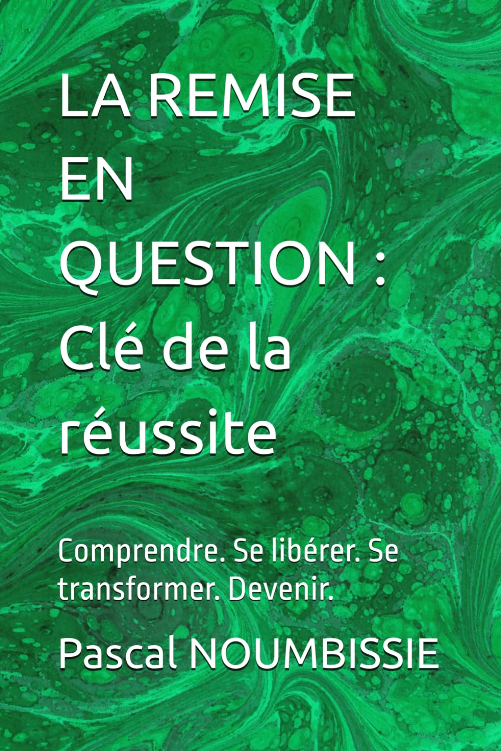LA REMISE EN QUESTION : Clé de la réussite: Comprendre. Se libérer. Se transformer. Devenir.