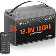 12V 100Ah LiFePO4 Bluetooth Battery Group31,Low Temp Protection, Built-in Smart 100A BMS, 5000+ Cycles, 1.28 kWh Energy, Perfect for Solar, Off-Grid, RV, Trailer, Trolling Motor, Home Backup