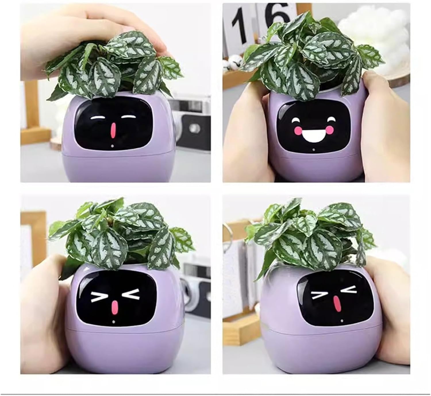 Smart Pet Planter 7 Sensors Time Light Moisture Display Indoor Plant Decor Pot image 2