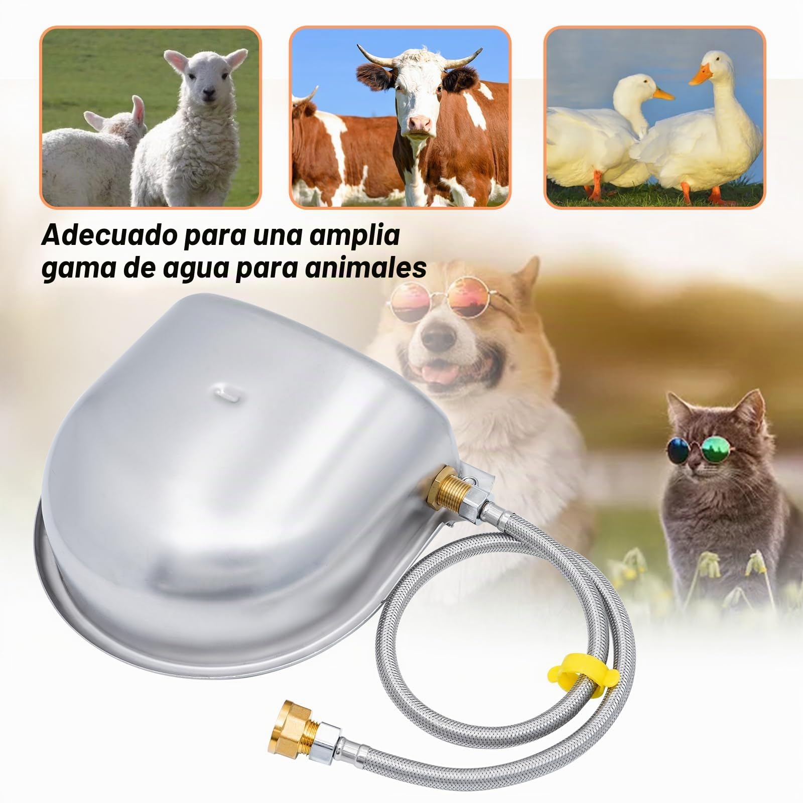 Bebedero Automático de Acero Inoxidable Fundido Con Válvula de Flotador de 1/2 Pulgadas de Latón Para Caballos, Ganado, Perros y Gallinas