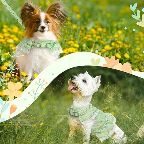 Miniatura 7 de Juego de arnés de vestido para perro con correa, arnés de cachorro de flores rosas, linda ropa de princesa de encaje para perritos, malla suave y