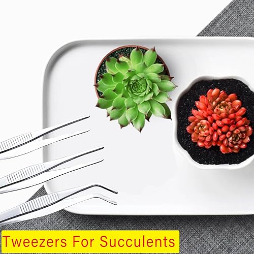 Miniatura 7 de 5 pinzas de chapado de 6.3 pulgadas, pinzas de alimentos para decoración de pasteles de galletas, hornearcocinar, pinzas de cocina de acero