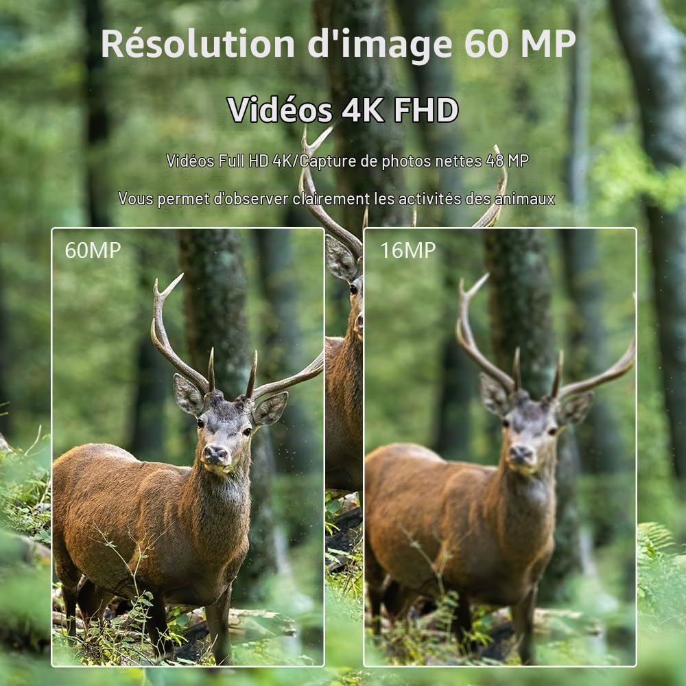 Caméra de Chasse WiFi 4K/60MP Full HD avec Carte SD 32GB, Vision Nocturne Infrarouge 940nm No Glow, Détection de Mouvement 0,2s, Étanche IP66, pour Observer la Faune
