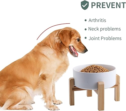 Miniatura 4 de Cuenco elevado y elevado de cerámica para perros de razas pequeñas y medianas, cuenco de agua con soporte, 6 pulgadas, 3.6 tazas, antideslizante,