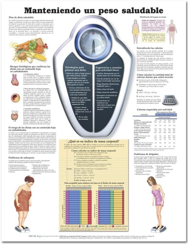 Maintaining a Healthy Weight in Spanish (Manteniendo un