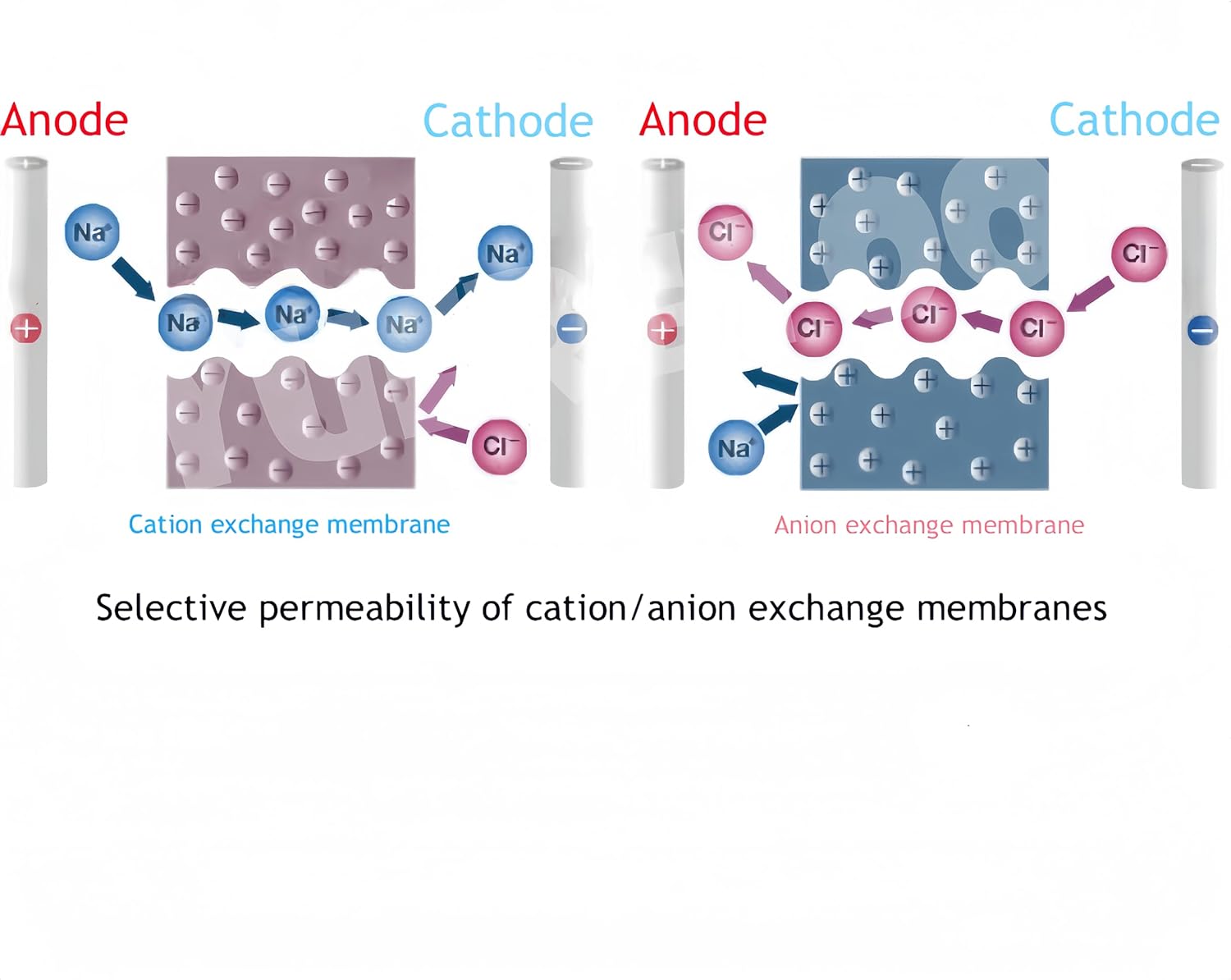 1PCS Deionization MCDI Ionic Exchange Polymer for Seawater Desalination - High Selectivity & Efficiency(Cation 40 x 40cm)
