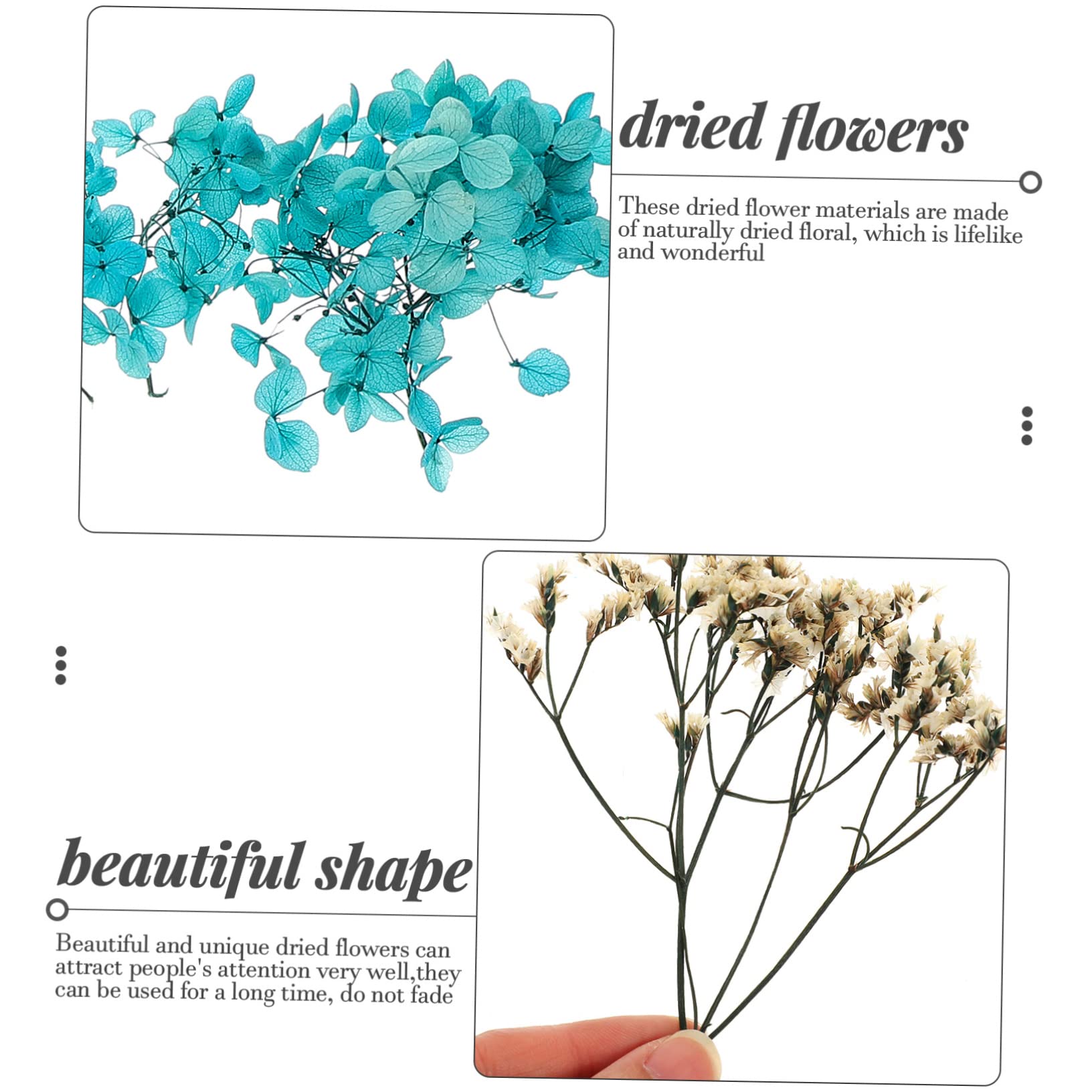 Abaodam Lot De 4 Fleurs Séchées Naturelles pour Projets Artisanaux Accessoires De Décoration Séchée Faits À La Main