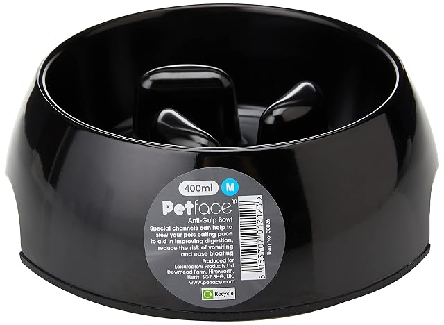 Foto 2 de 4 de Petface Comedero de Mascotas para ralentizar la Comida