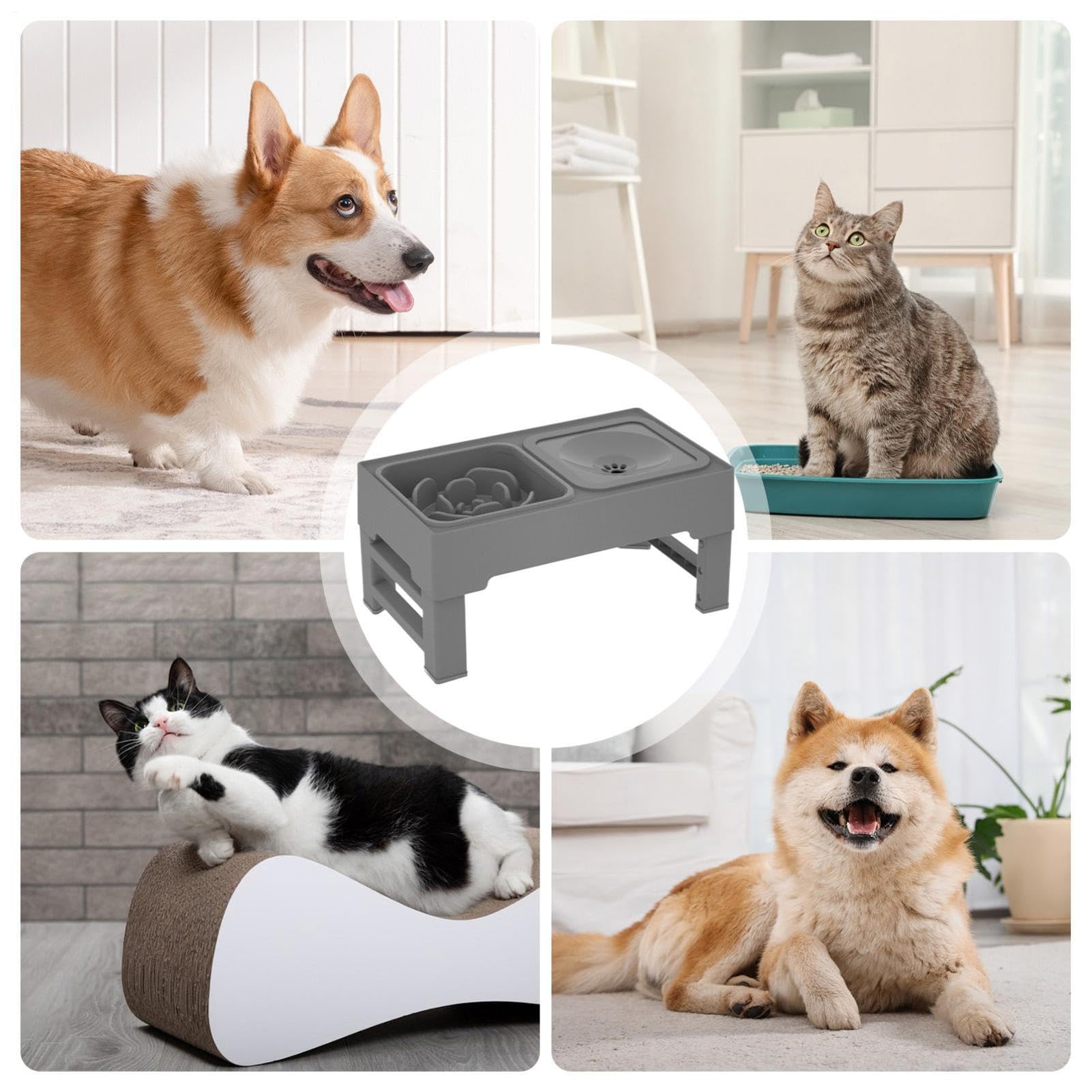 Erhöhte Hundenäpfe Höhenverstellbarer auslaufsicherer Futtertisch