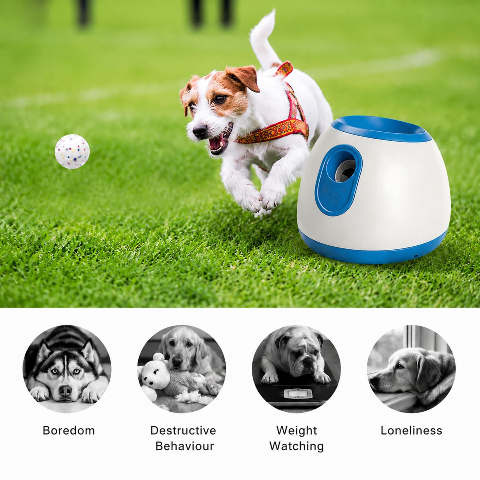 Lanciatore automatico di palle per cani, lanciatore e palline da tennis regolabile a 3 distanze, 3 palline incluse, per cani di piccola e media dimensione, adatto per interni ed esterni