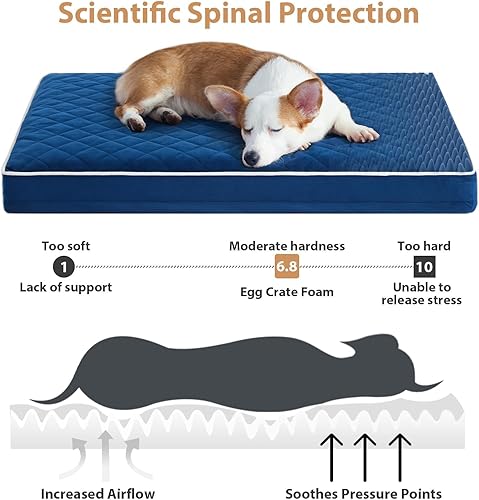 Miniatura 3 de WNPETHOME - Camas ortopédicas para perros grandes, impermeable, con funda extraíble lavable y parte inferior antideslizante, tapete de espuma para