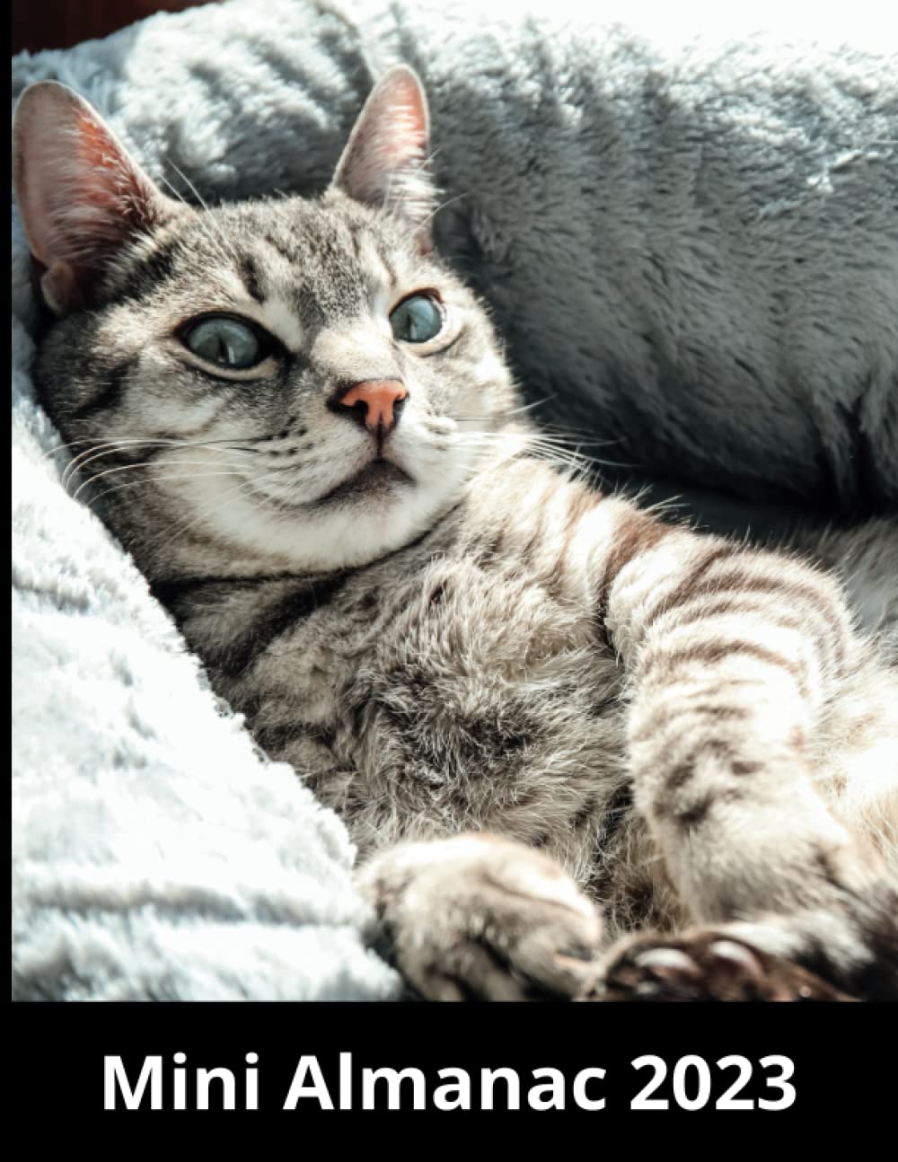 Mini Almanac 2023: Cover Theme : Cool Cat