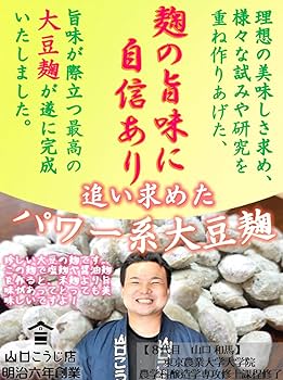山口県産大豆・枝豆の種約２５ｋｇ乾燥大豆・国産大豆・豆乳や味噌作りに 楽天市場】大豆 国産 900g～20kg 送料無料 令和6年産 2024年産