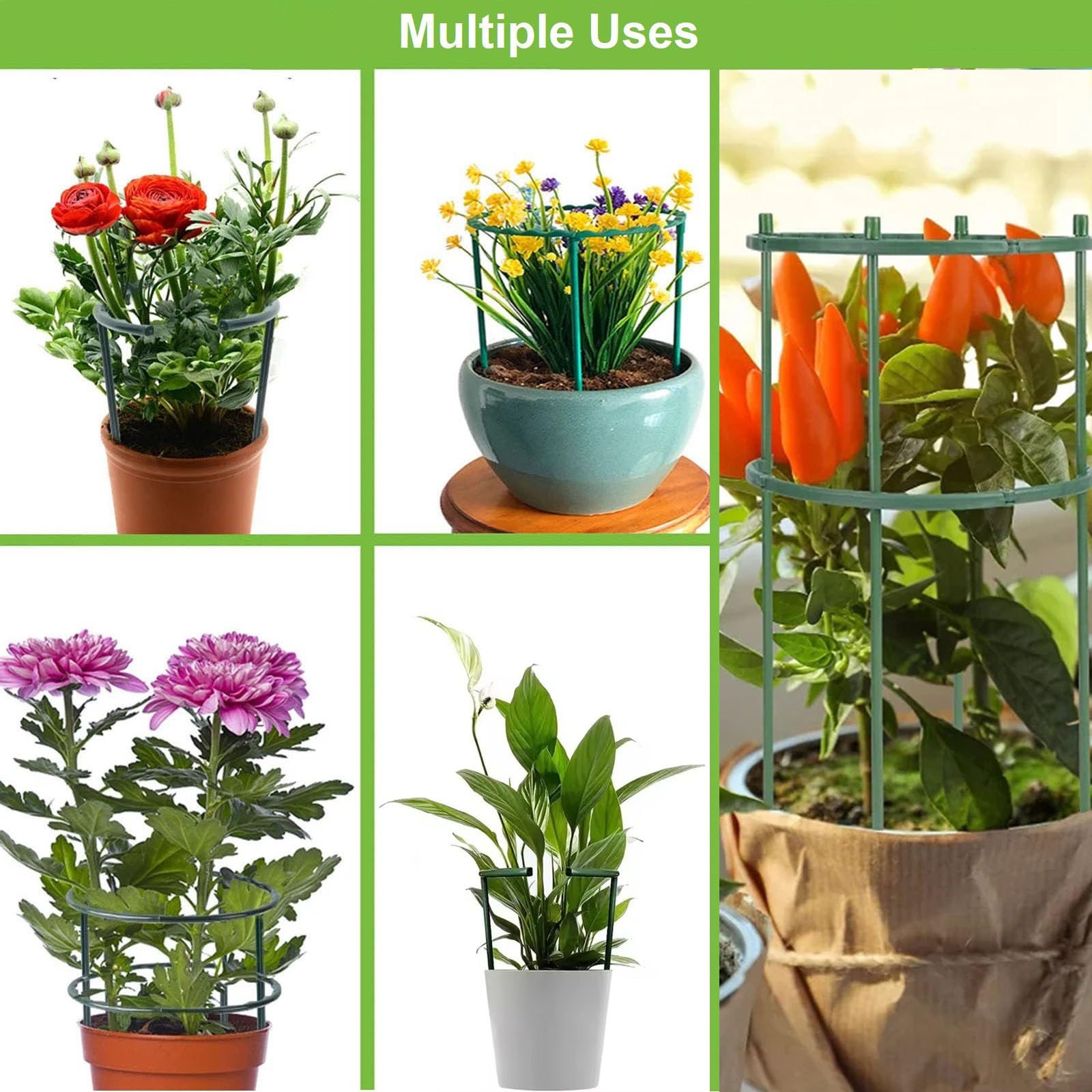 12 Packungen Pflanzensttze Pflanzenhalter fr den Garten, Kunststoff  Garten Pflanzen Sttze Blumensttze Pflanzensttzen fr Topfpflanzen,  Gemse, Rosen, Hortensien, Blumen : Amazon.de: Garten