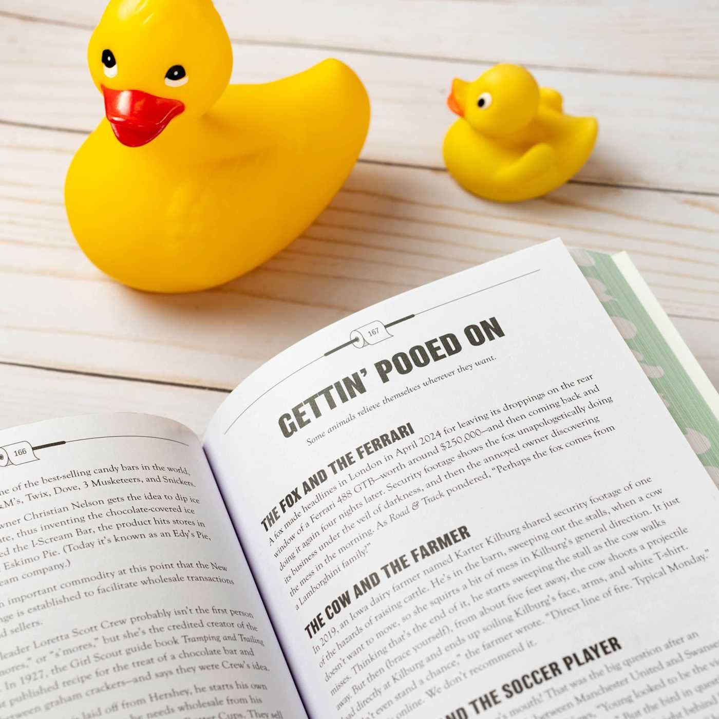 Uncle John's Know It All Bathroom Reader: Superior Trivia! Amazing Facts and Figures! (Uncle John's Bathroom Reader Annual) - Image 6