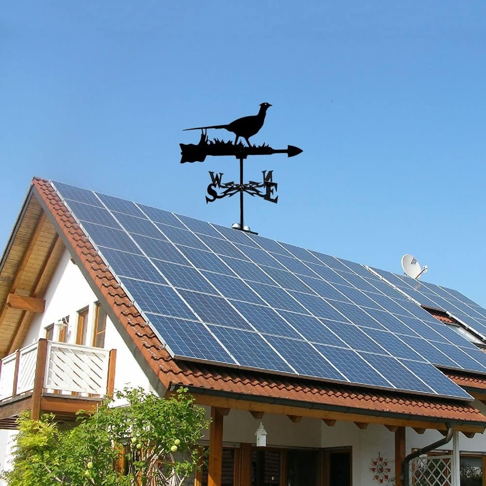 激レア⭐︎朔 TUITACI RASCHEL MESH JACKET-BLACK JACKETS(ジャケット