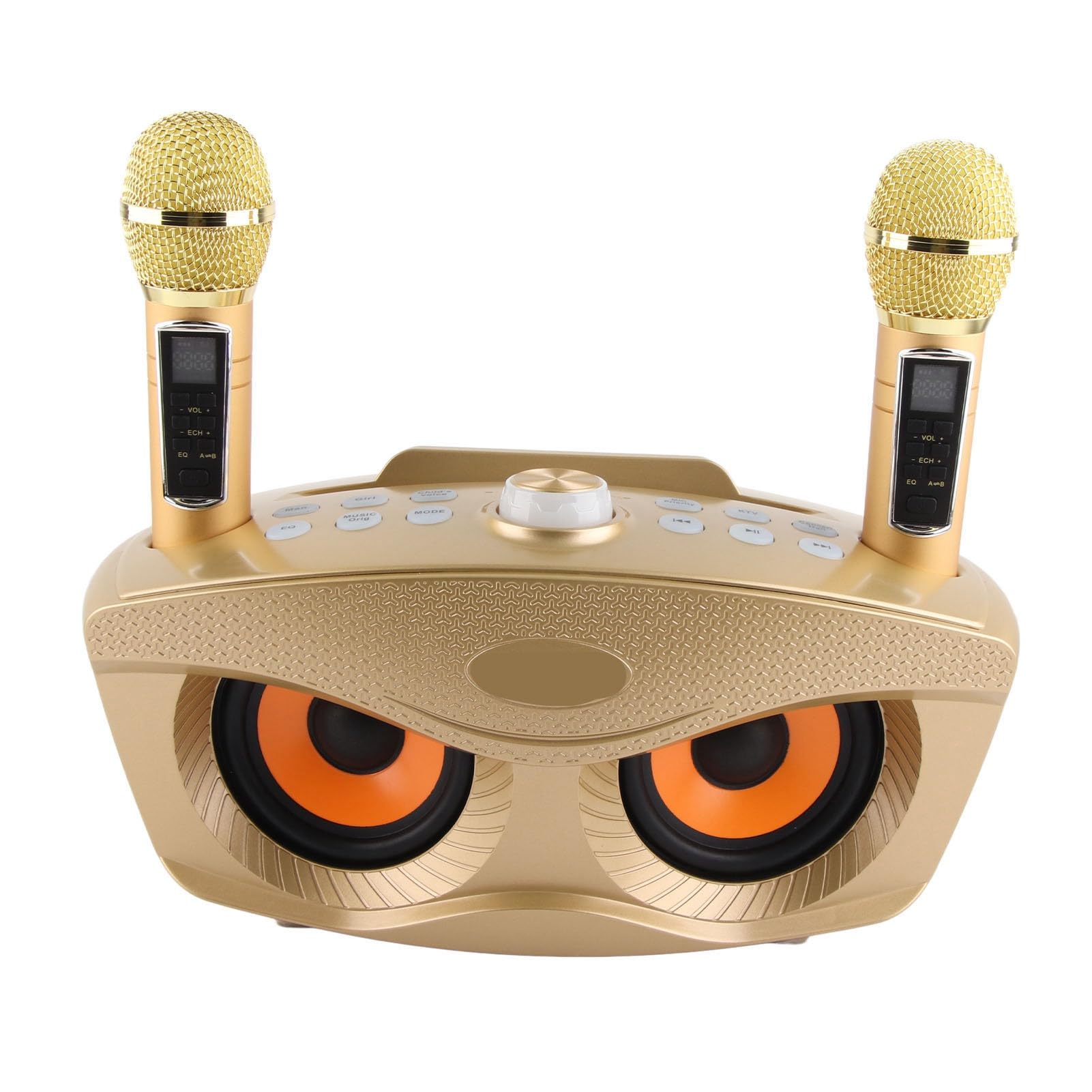 Semme Altoparlante per Karaoke Familiare con Doppio Microfono Portatile, Stereo Portatile da Esterno con Funzione di Annullamento Vocale (GOLD)