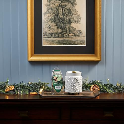 Vista 4 de Yankee Candle - Velas de cera con aroma a bálsamo y cedro, 18 unidades (3 paquetes de 6), aroma a bosque fresco, perfectas para Navidad y temporada