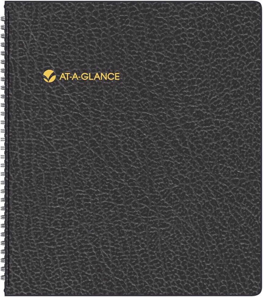 AT-A-GLANCE Monthly Planner, 2010 (7026005)