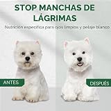 Ver la foto 2