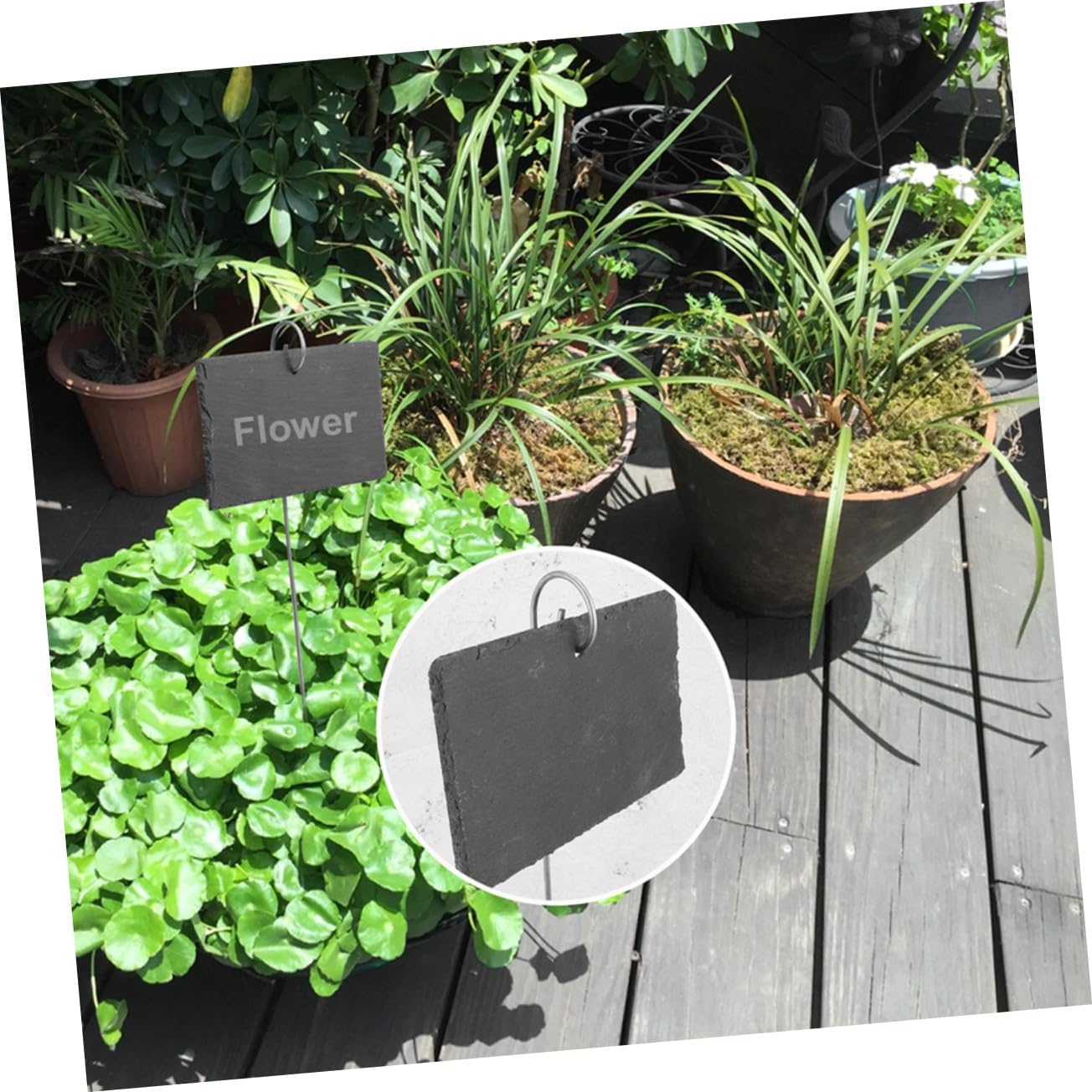 Garden Plant Labels 12-Piece Set for Outdoor Use Waterproof Chalkboard Tags for Herb and Flower Marking Reusable Tree Identification in Outdoor Gardens