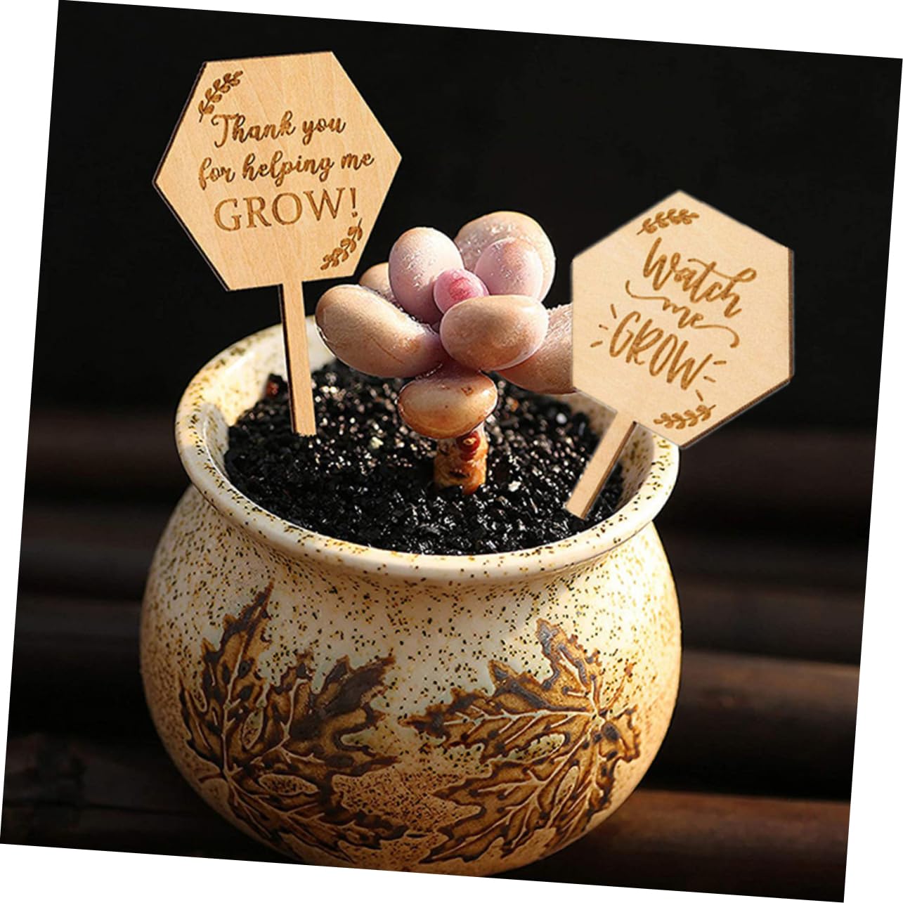 YARNOW 120pièces Étiquettes De Jardin Bois Lot De Marqueurs Pour Plantes Pot Étiquettes Personnalisables Pour Fleurs Et Jardins Signalisation Paysagère