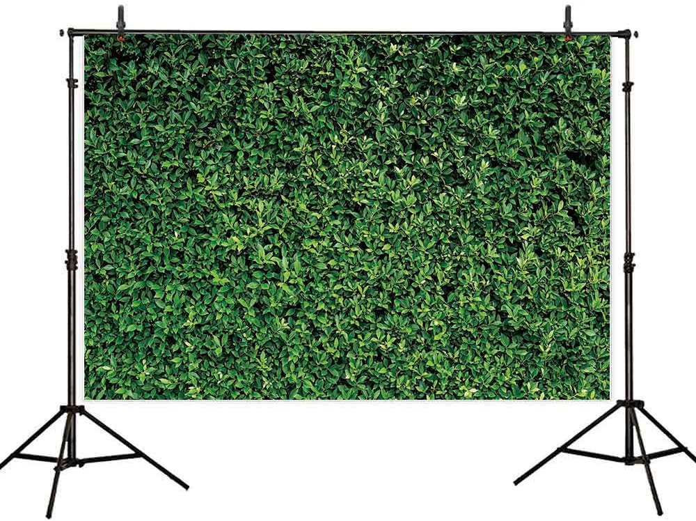 Allenjoy 7x5ft Nature Green Lawn Leaves Backdrop for Photography Grass Pictures Background Spring Party Ground Decor Outdoorsy Theme Newborn Baby Shower Lover Wedding Photo Studio Props