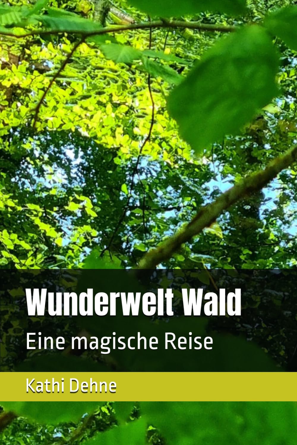Wunderwelt Wald: Eine magische Reise