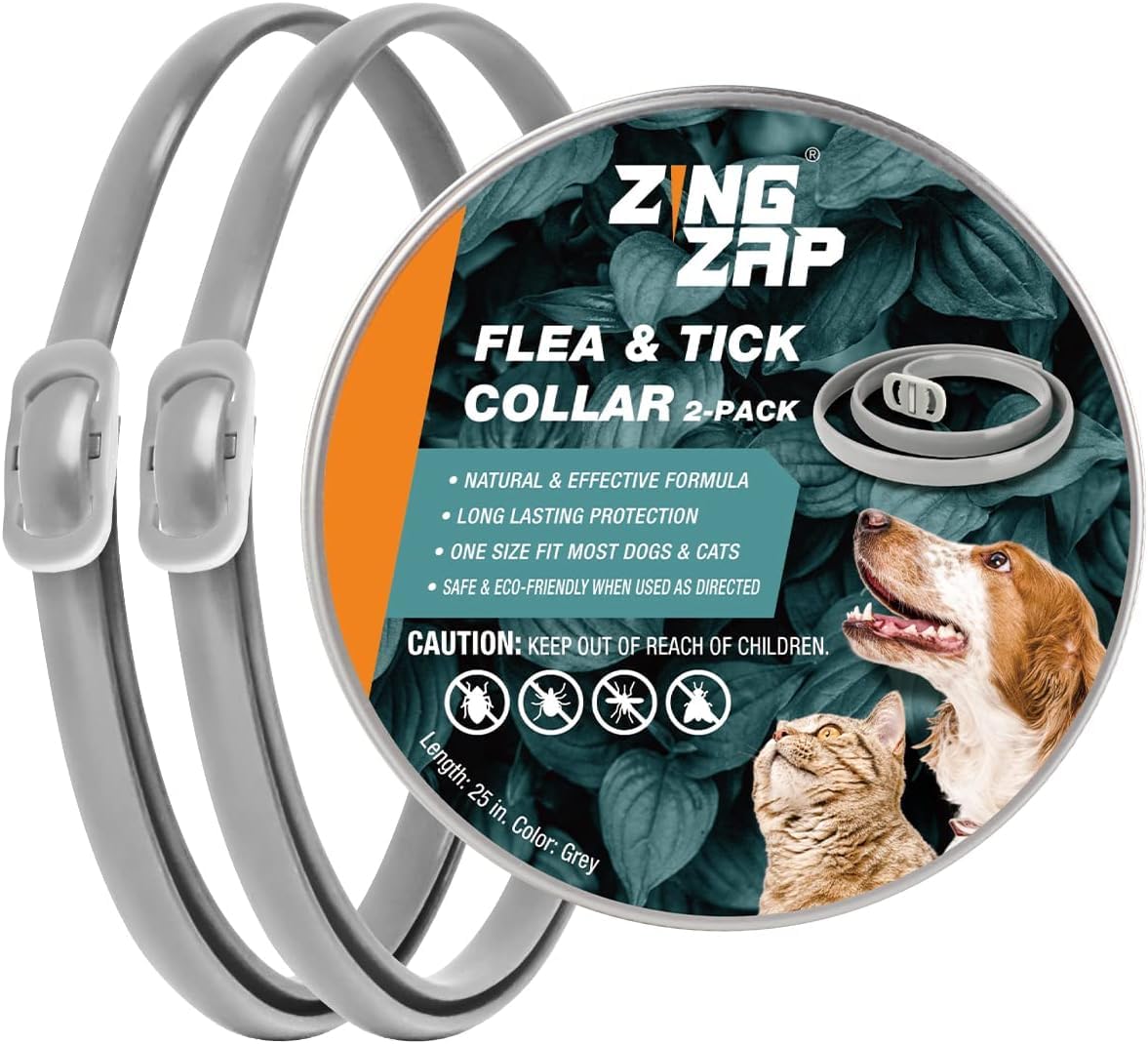 Serika With Dog – Caution Warning Protected By Chihuahua Security Dog Sign for Front