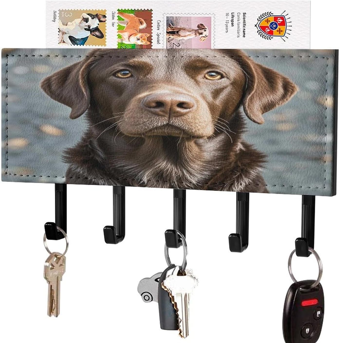 Key Holder Wall Mount Key Hanger with 5 Hooks, Decorative Key Rack | Brown Labrador Retriever Hanging Key Hooks with Mail Organizer for Wall Living Room Kitchen Bathroom Hallway