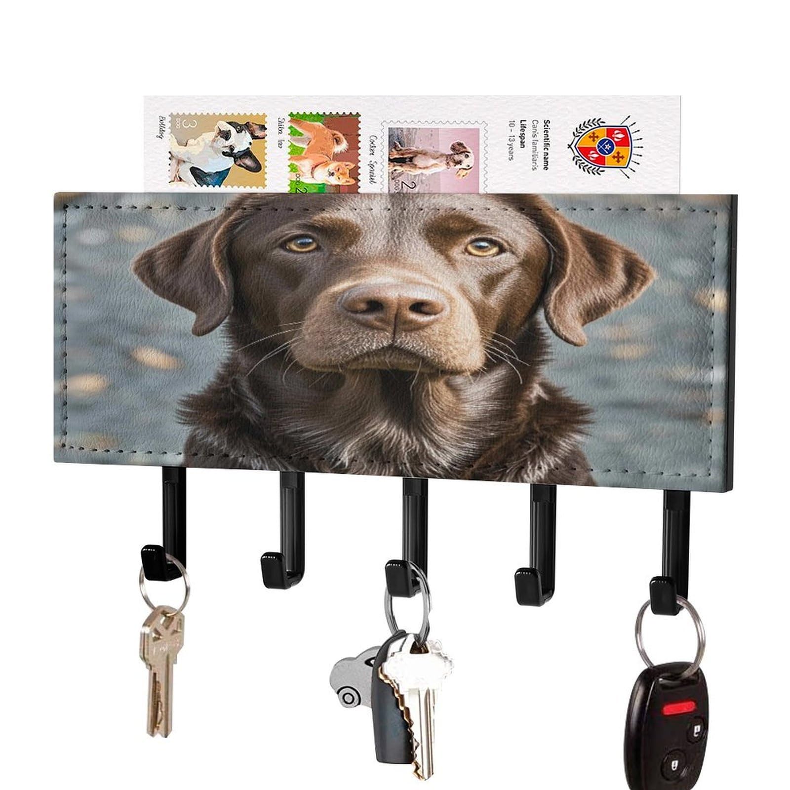 Fekiloot Black-Style Brown Labrador Retriever Key Holder Wall Mount Key Hanger With 5 Hooks Decorative Key Rack Hanging Key Hooks With Mail Organizer Key Holder For Wall Living Room Kitchen Bathroom Hallway Black