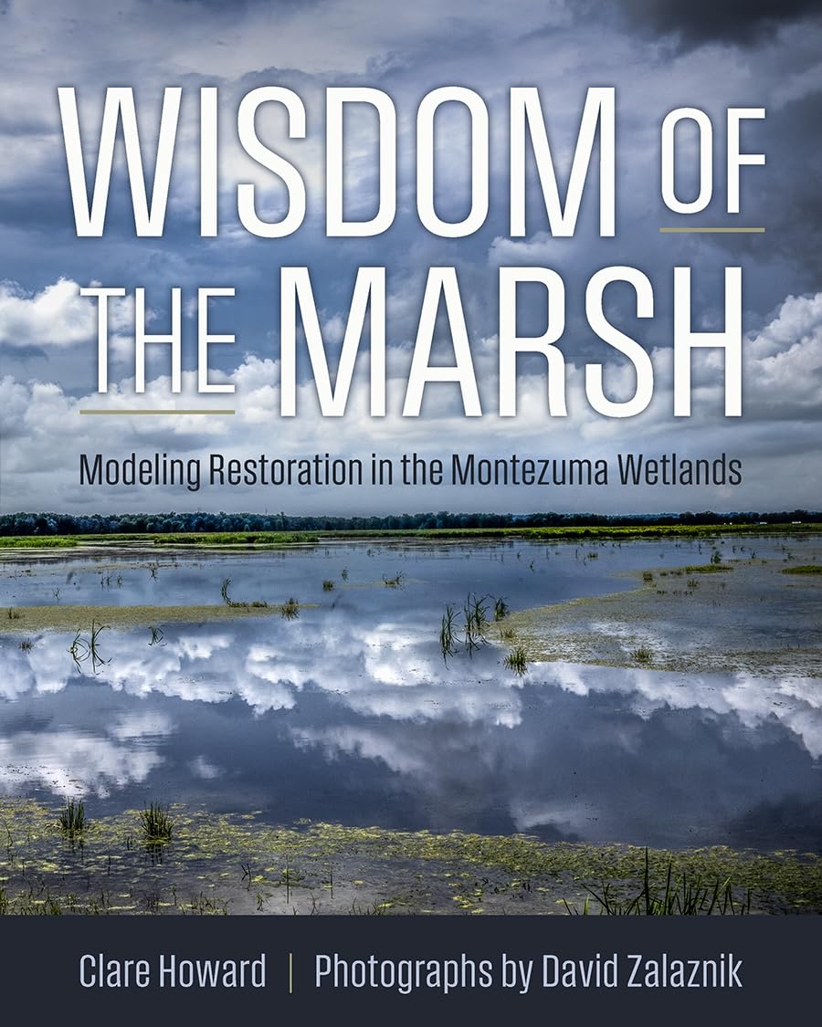 Wisdom of the Marsh: Modeling Restoration in the Montezuma Wetlands (New York State Series)