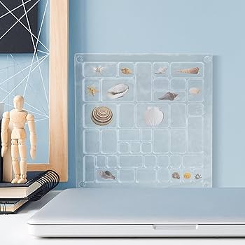 Amazon.co.jp: 貝殻収納ボックス、貝殻コレクションボックス, 正方形の