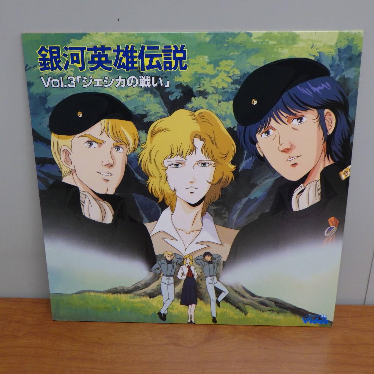 【激レア】LD　銀河英雄伝説 全28巻セット＋3巻 アニメ□銀河英雄伝説 全7巻・劇場版や外伝など全3巻□LD 10枚