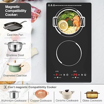 Double Induction Cooktop, 2 Burners Induction Cooktop 110v, 12 inch Portable Electric Stove Top, Countertop and Built-in Induction Cooktops Plug in,9 Power Levels, Child Lock,120 Mins Timer