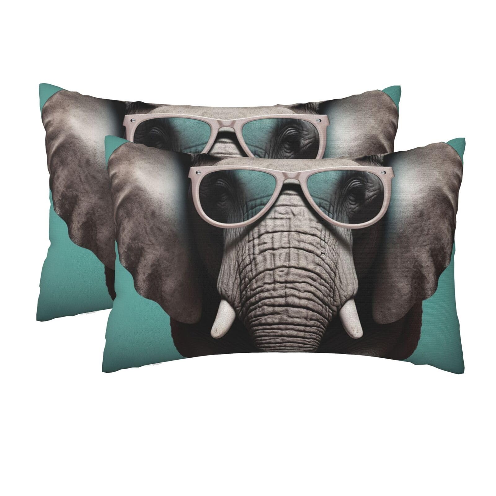 2 Pack Queen Size Pillow Cases for Hair and Skin Soft Breathable Pillow Case Covers with Hidden Zipper Elephant with Glasses Pillowcase 20x30 Inches Pillow Cover for Sleeping Gift